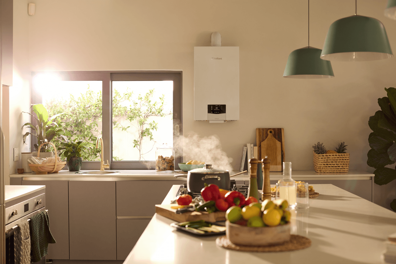 ecoTEC plus VU scene view