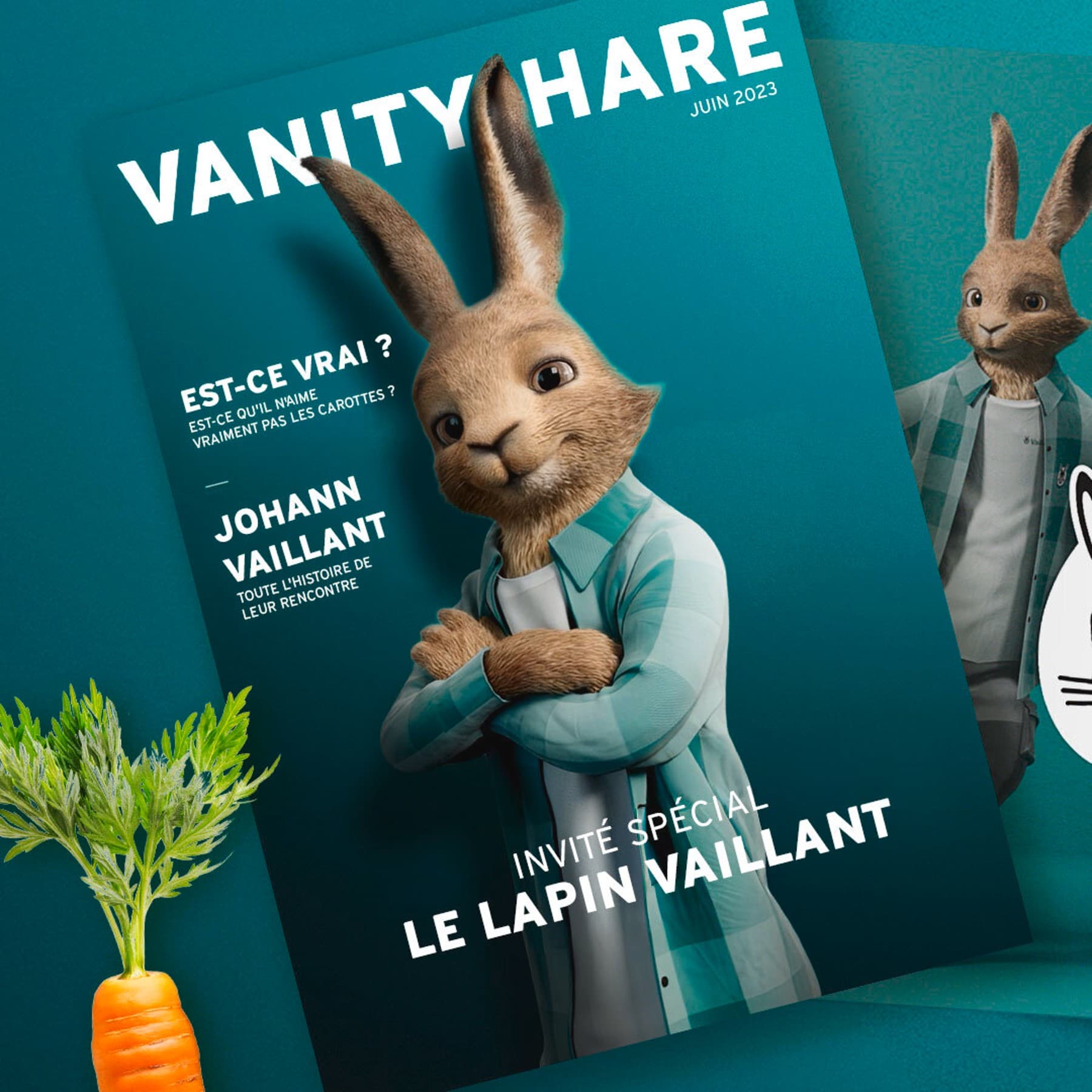 Edition spéciale : Interview du lapin dans Vanity Hair | Vaillant