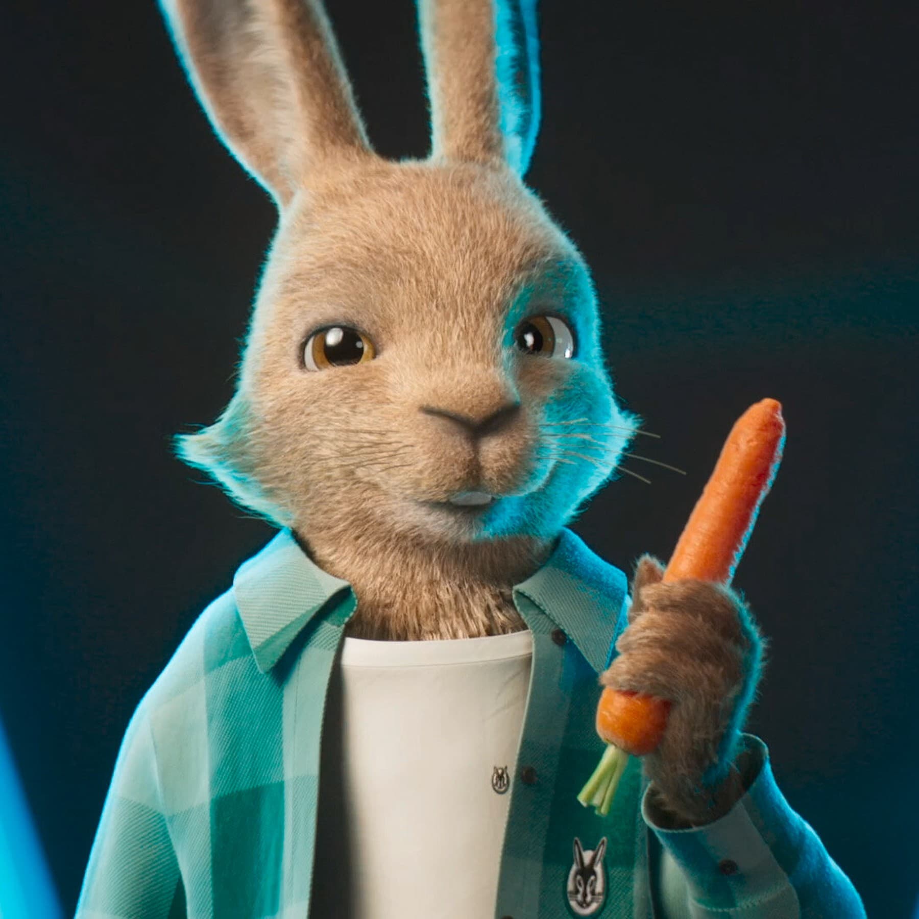 Le lapin Vaillant | Vaillant