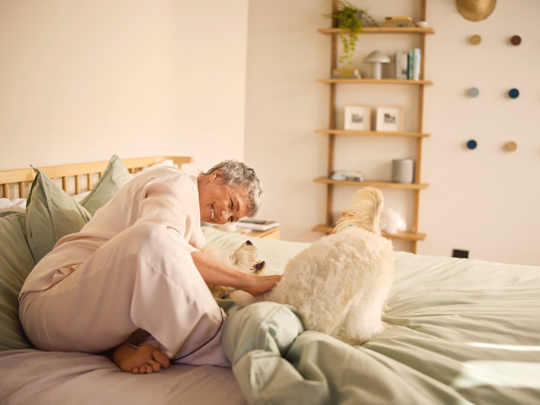 Une femme souriante caressant un chien sur un lit | Vaillant