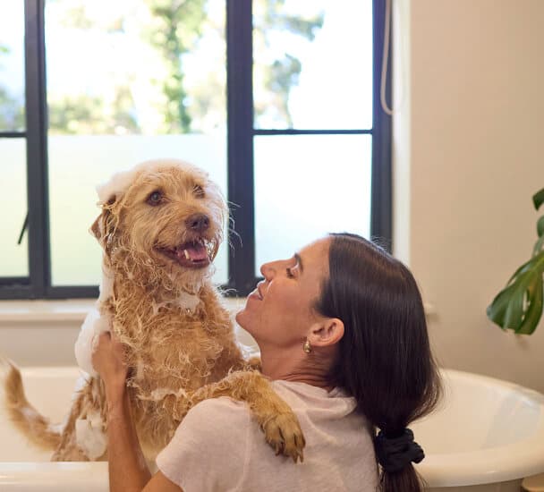 Une femme qui donne un bain à son chien | Vaillant