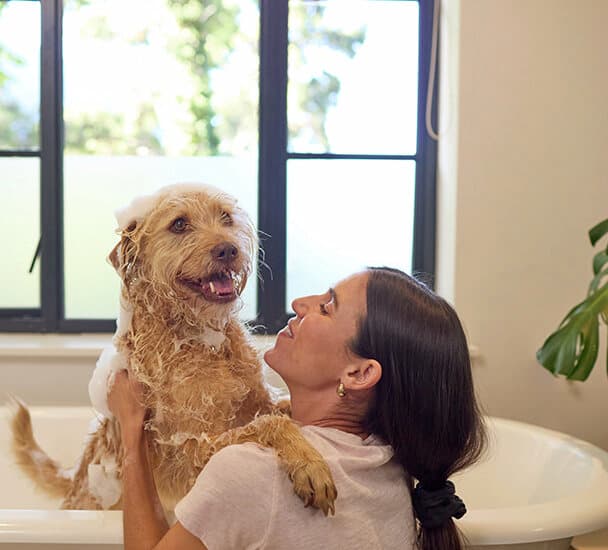Une femme qui donne un bain à son chien | Vaillant