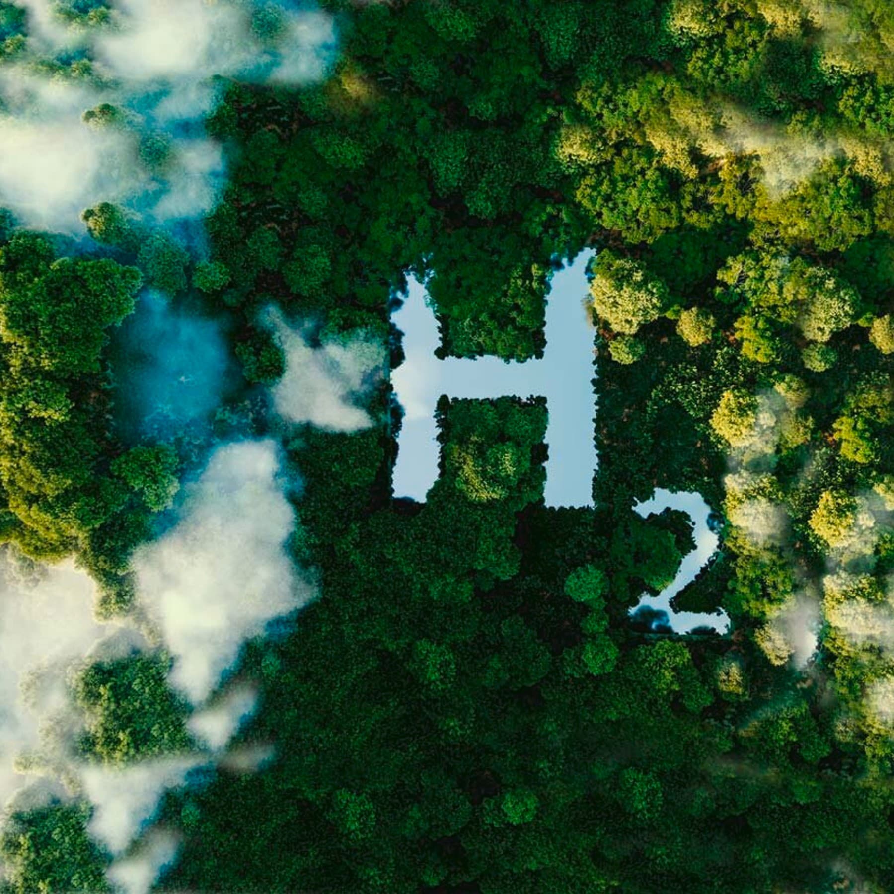 Symbole de l'hydrogène dans une forêt | Vaillant