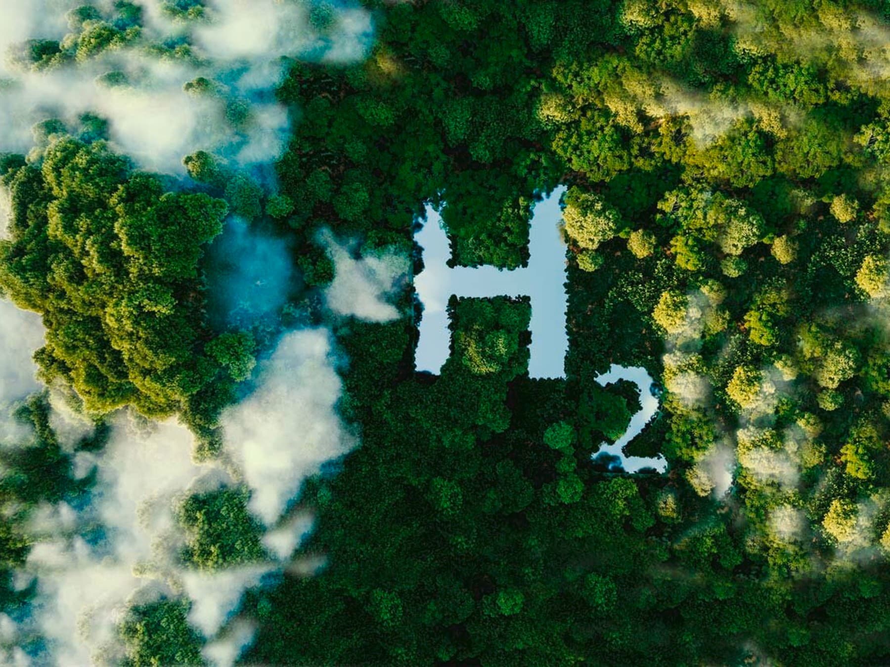 Symbole de l'hydrogène dans une forêt | Vaillant