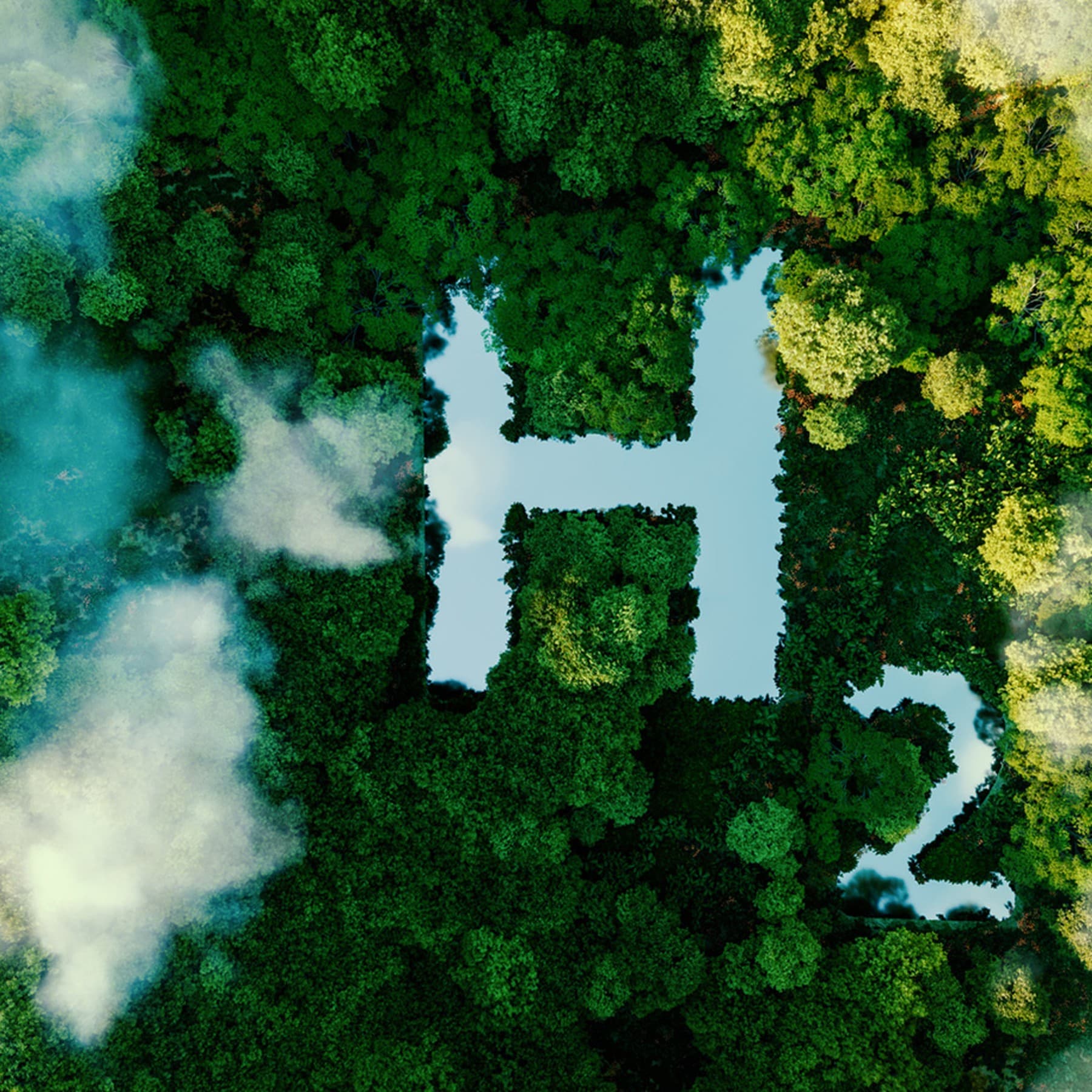 Symbole de l'hydrogène dans une forêt