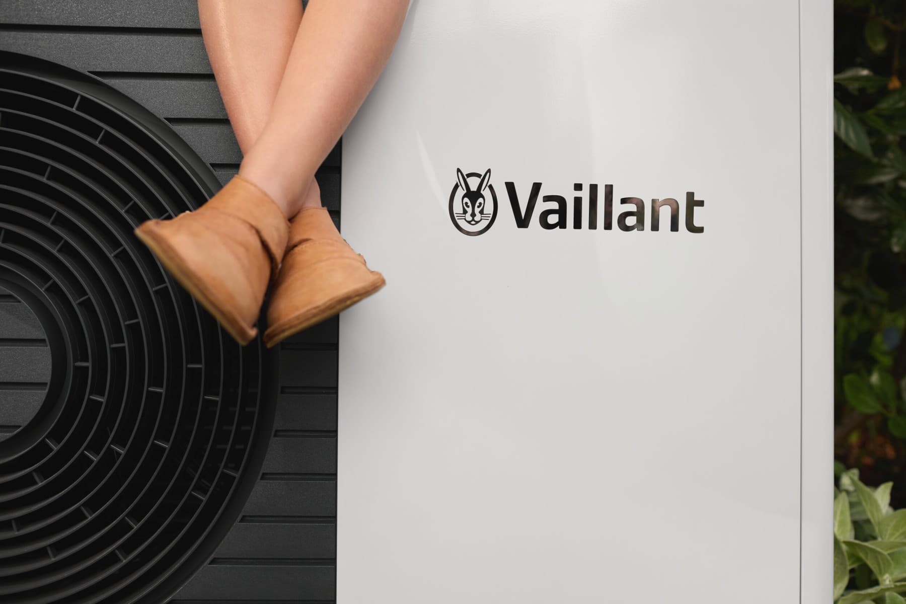 Chien couché sur le sol | Vaillant