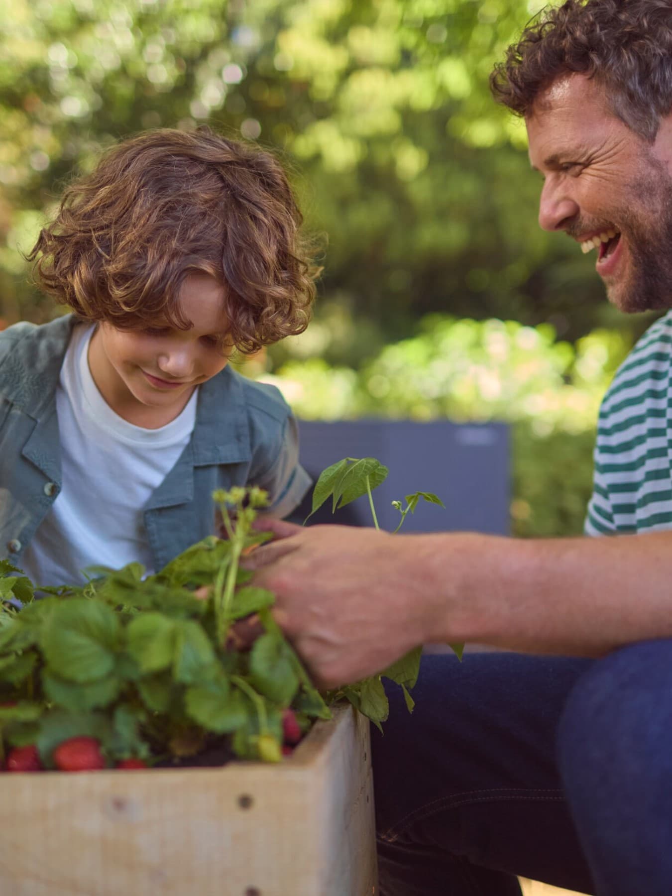 Un père arrose les radis avec son fils | Vaillant