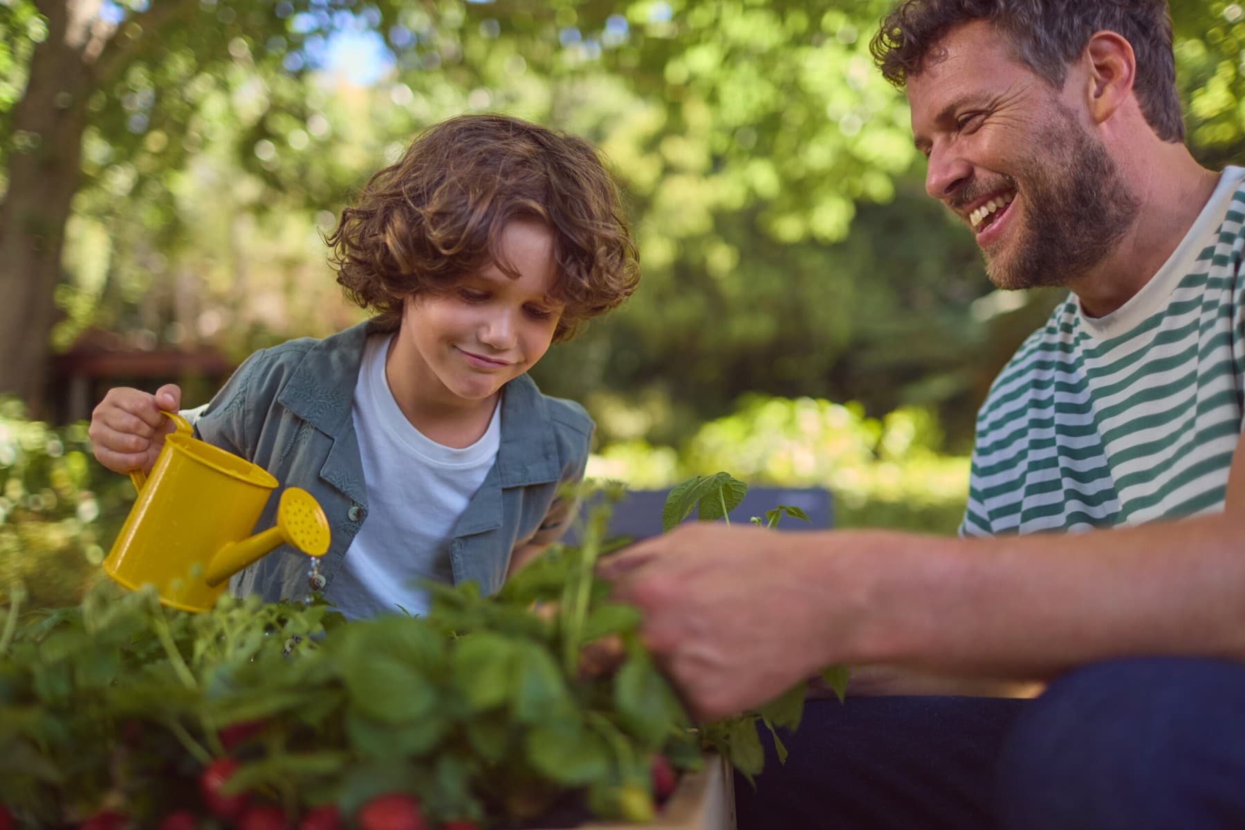 Un garçon et son père jouant dans le jardin | Vaillant