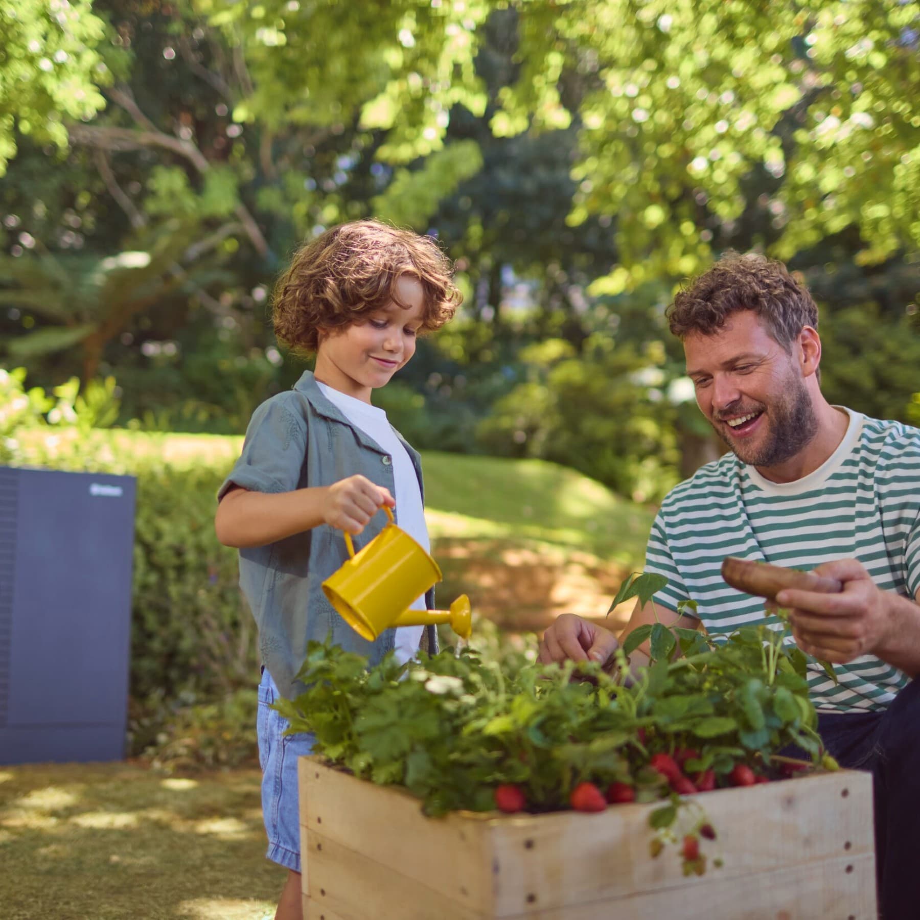 Un père et son fils arrosent des radis dans le jardin | Vaillant