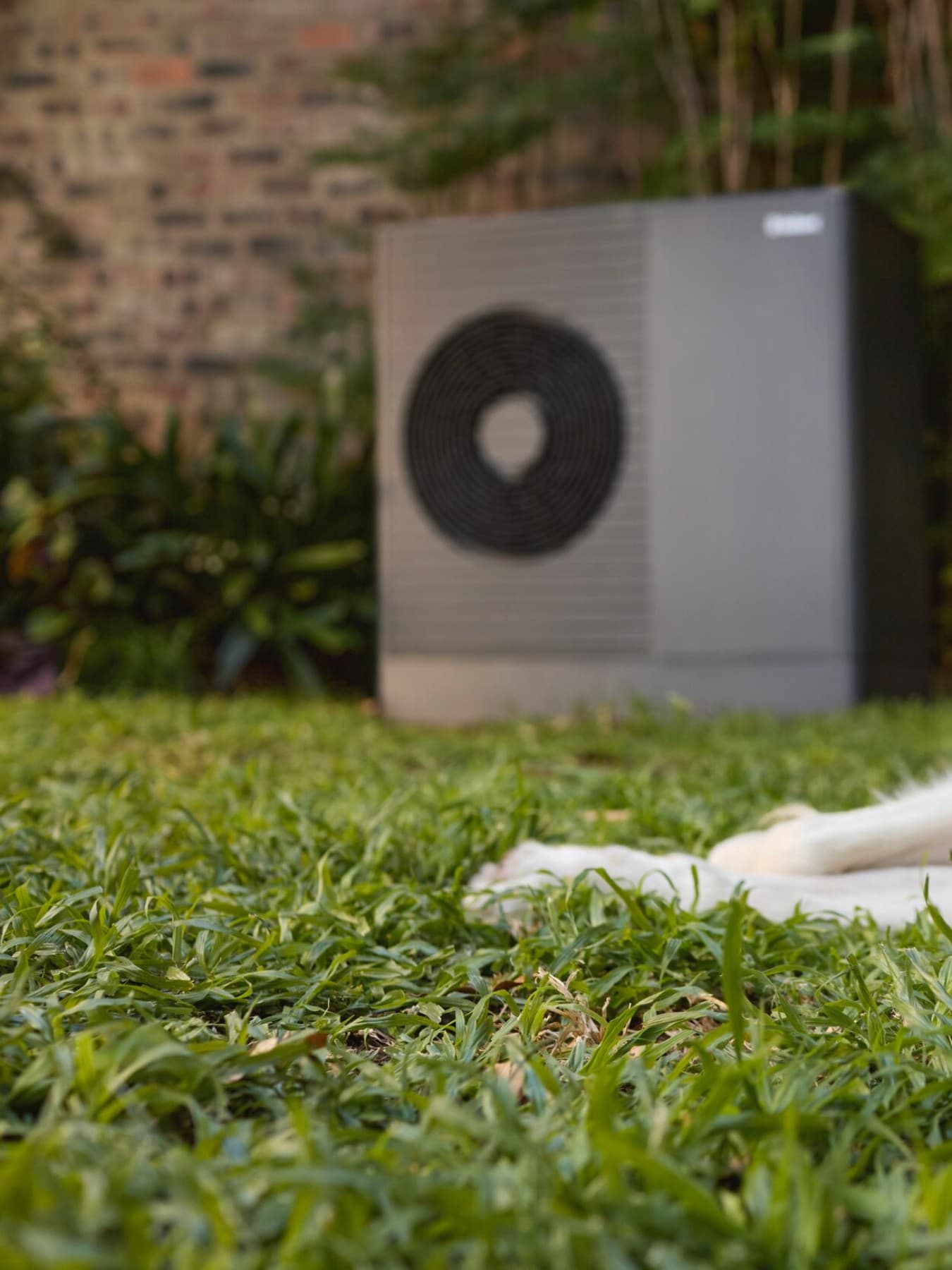 Chien dormant devant aroTHERM plus | Vaillant