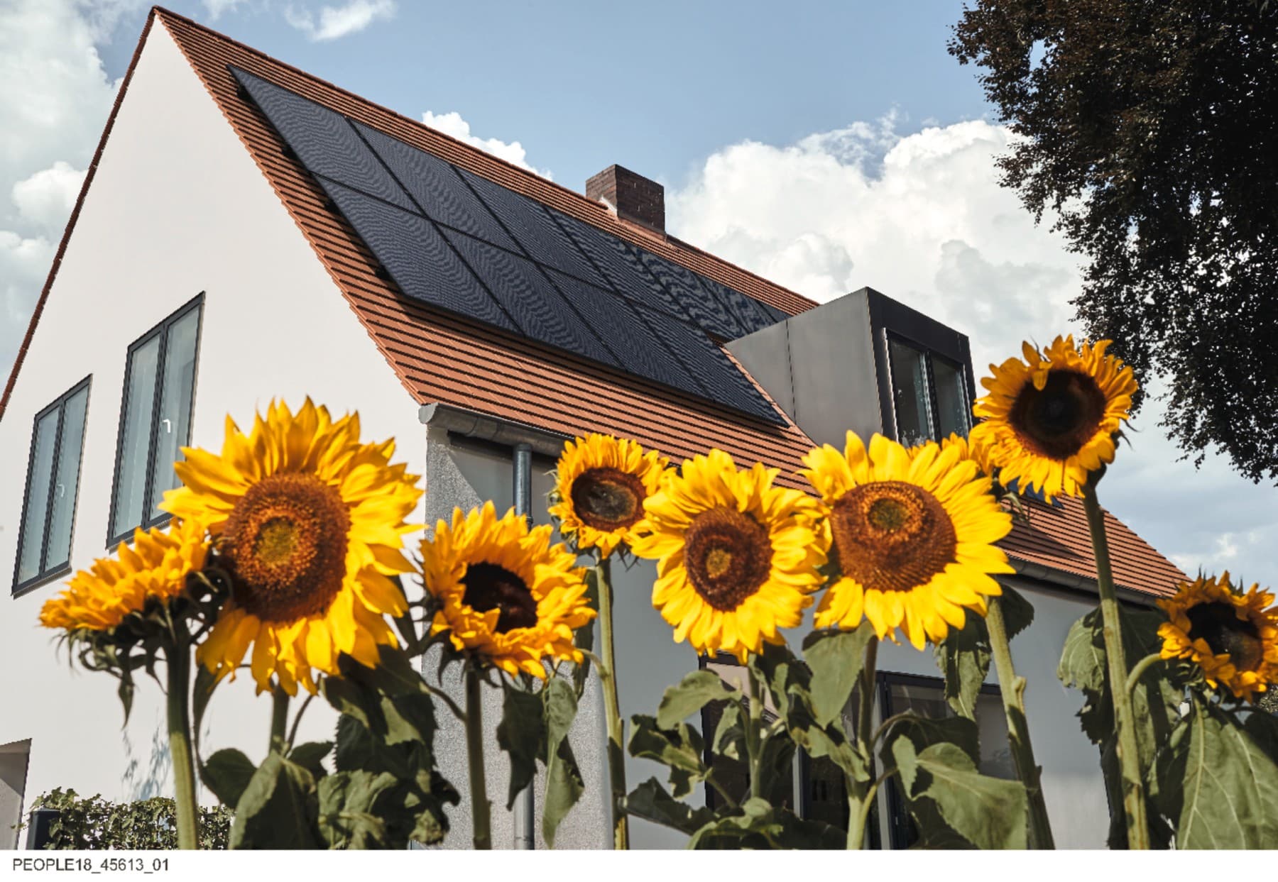 Maison avec des panneaux solaires sur le toit | Vaillant