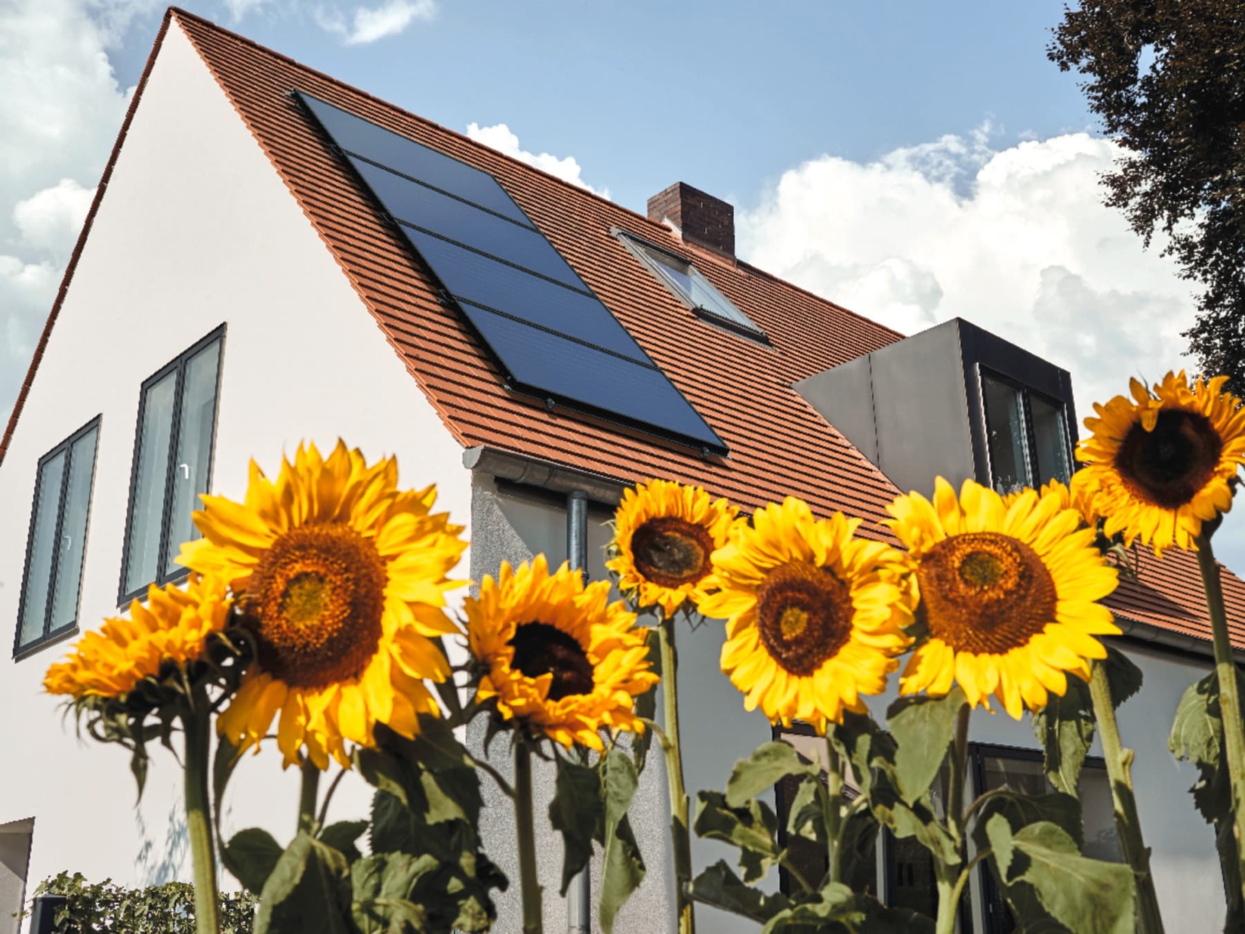 Capteurs solaires installés sur un toi d'une maison avec des tournesols | Vaillant