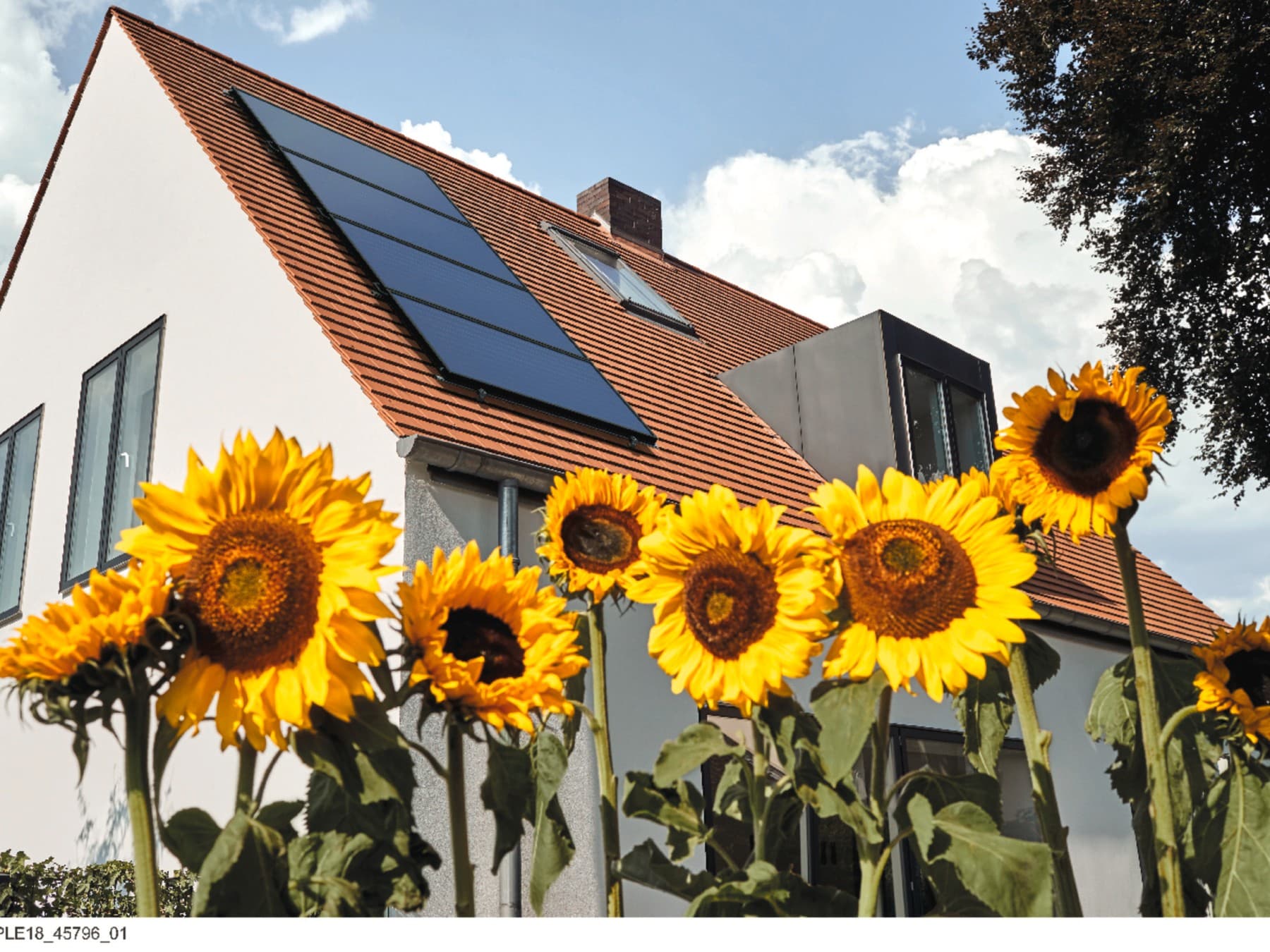 Panneaux solaires | Vaillant