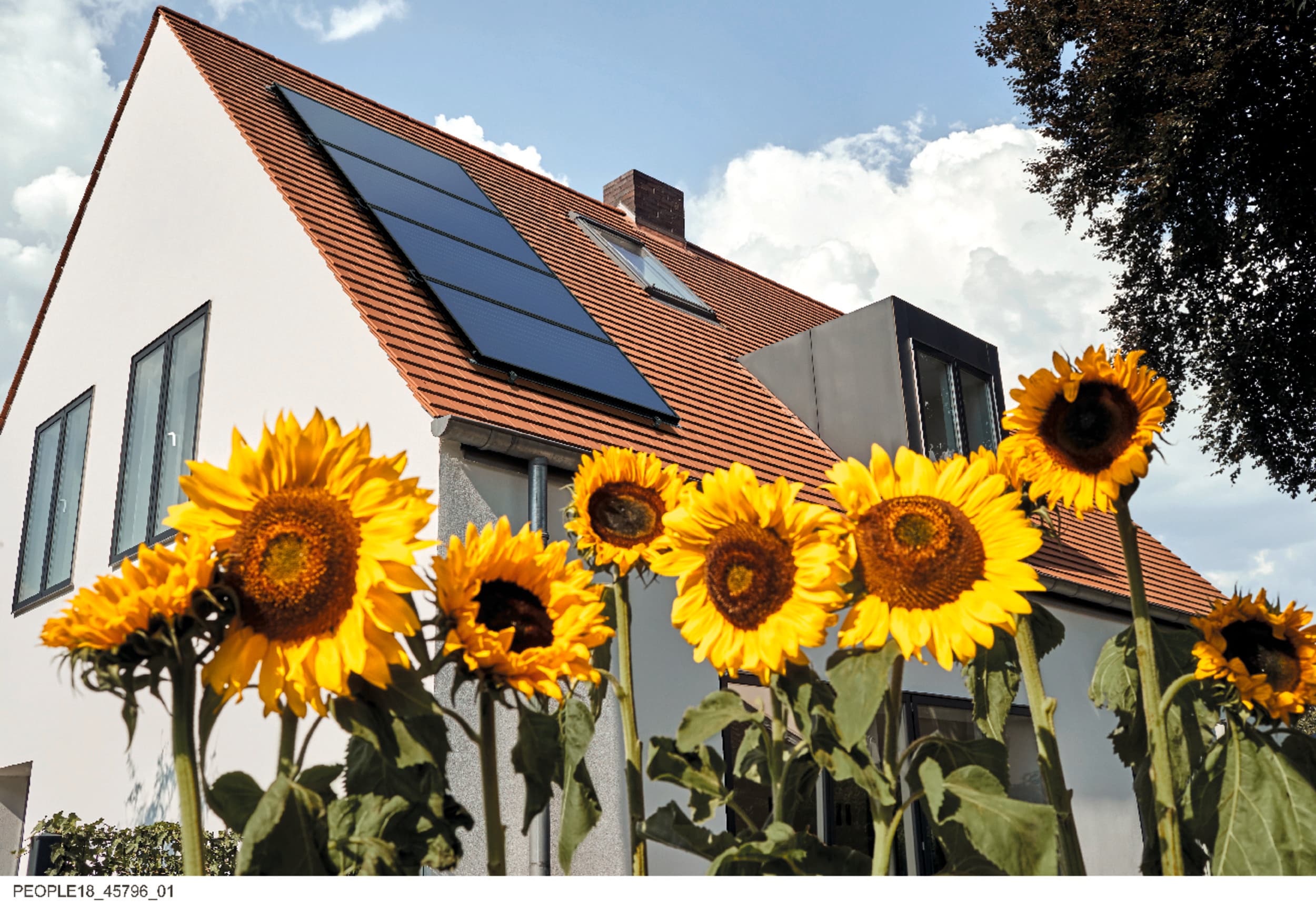 Maison équipée de capteurs solaires | Vaillant