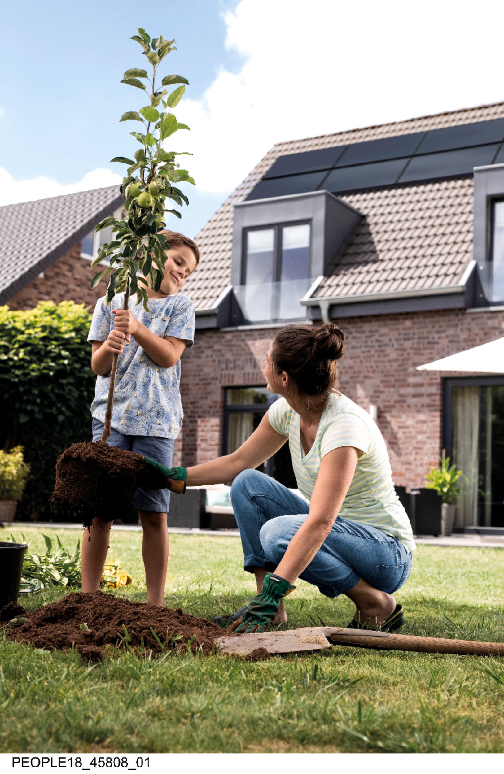 Une mère et son enfant en train de planter un arbre | Vaillant