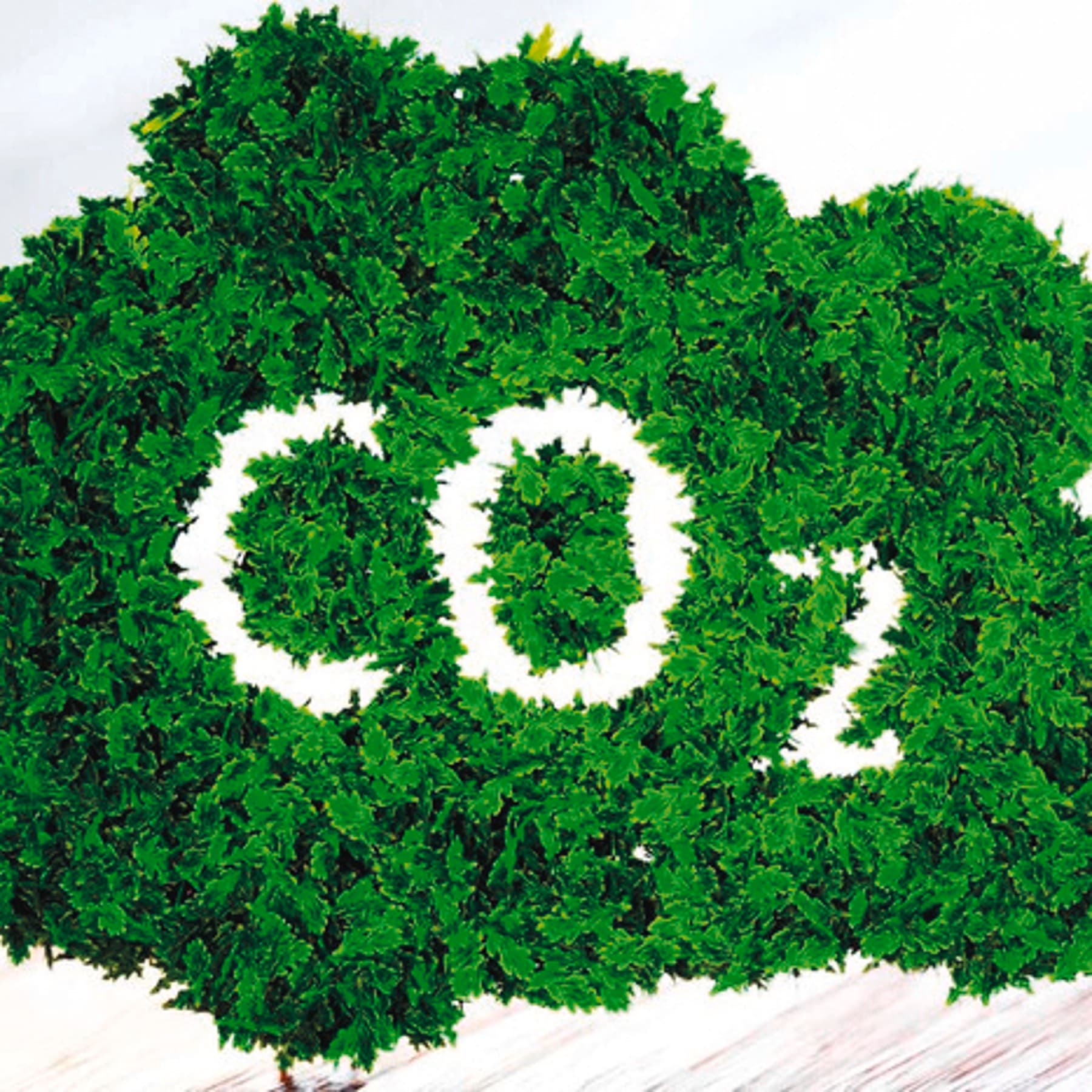 Le sigle CO2