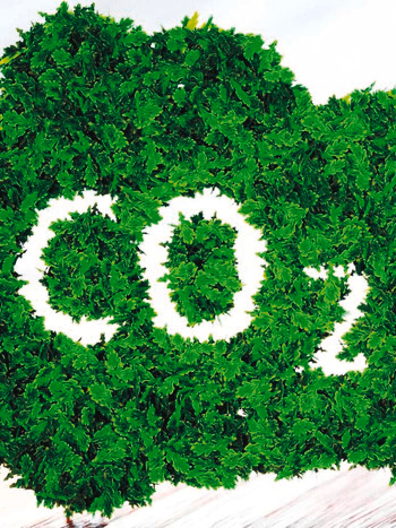Le sigle CO2