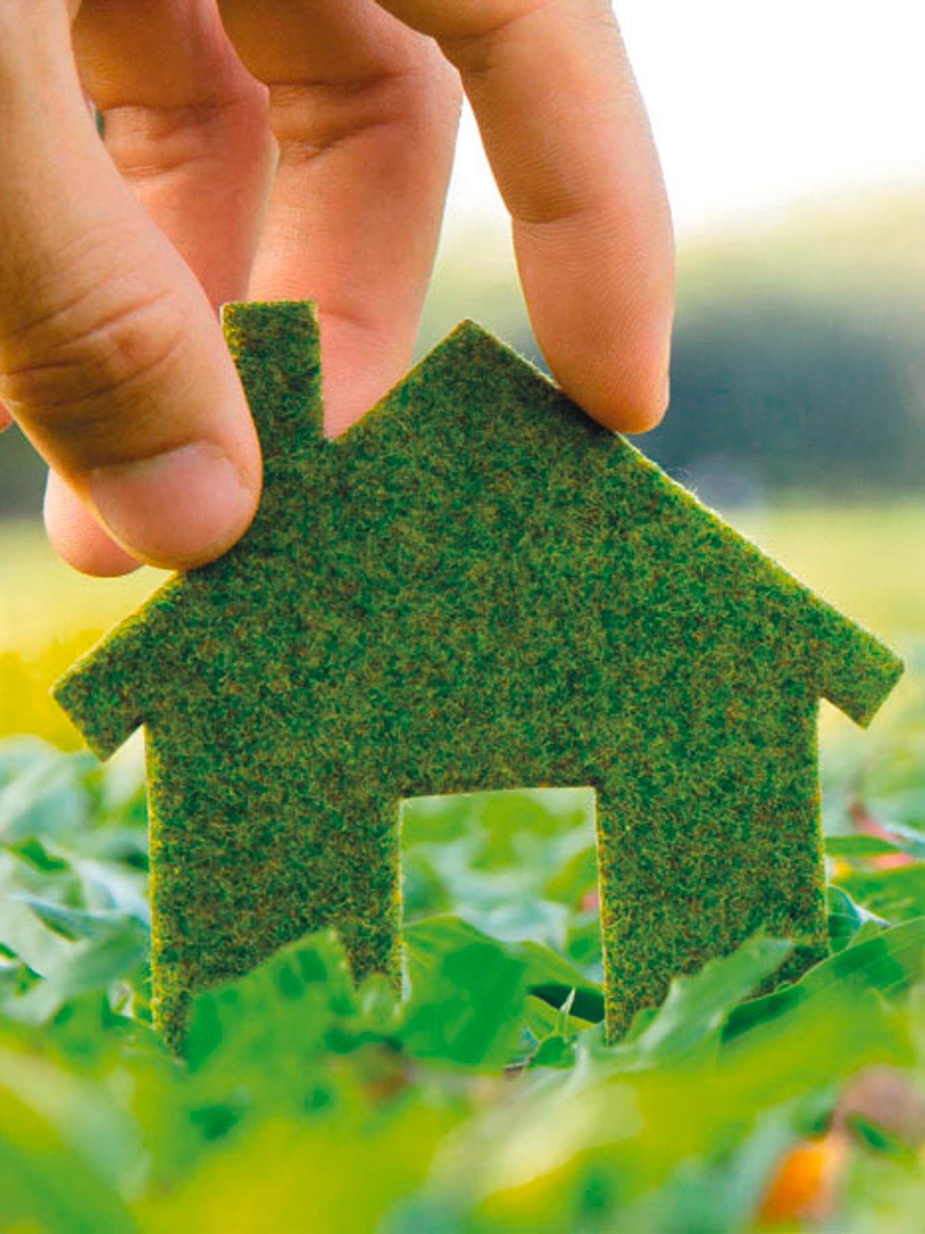 Une photo d'une maison verte tenue par une main