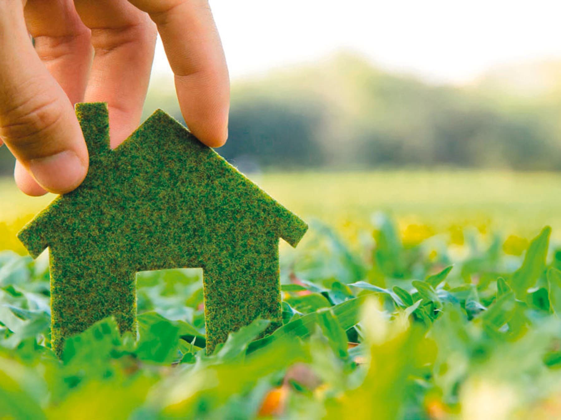 Une photo d'une maison verte tenue par une main