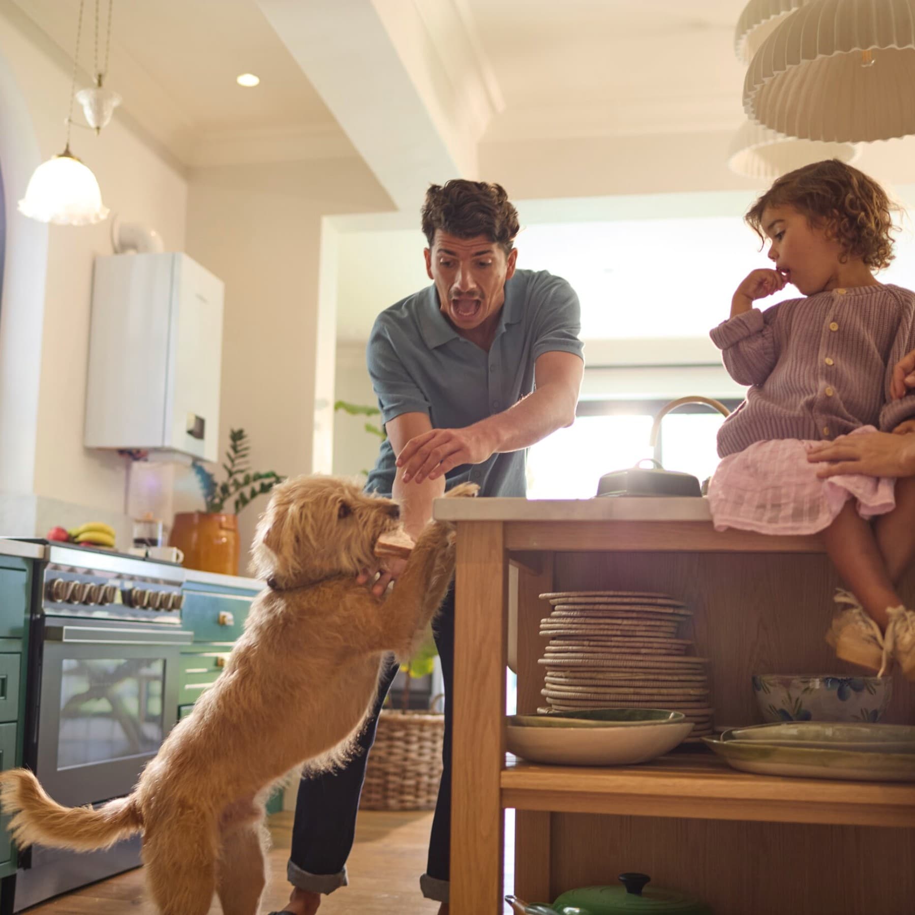 Une famille joue avec un chien dans leur cuisine | Vaillant