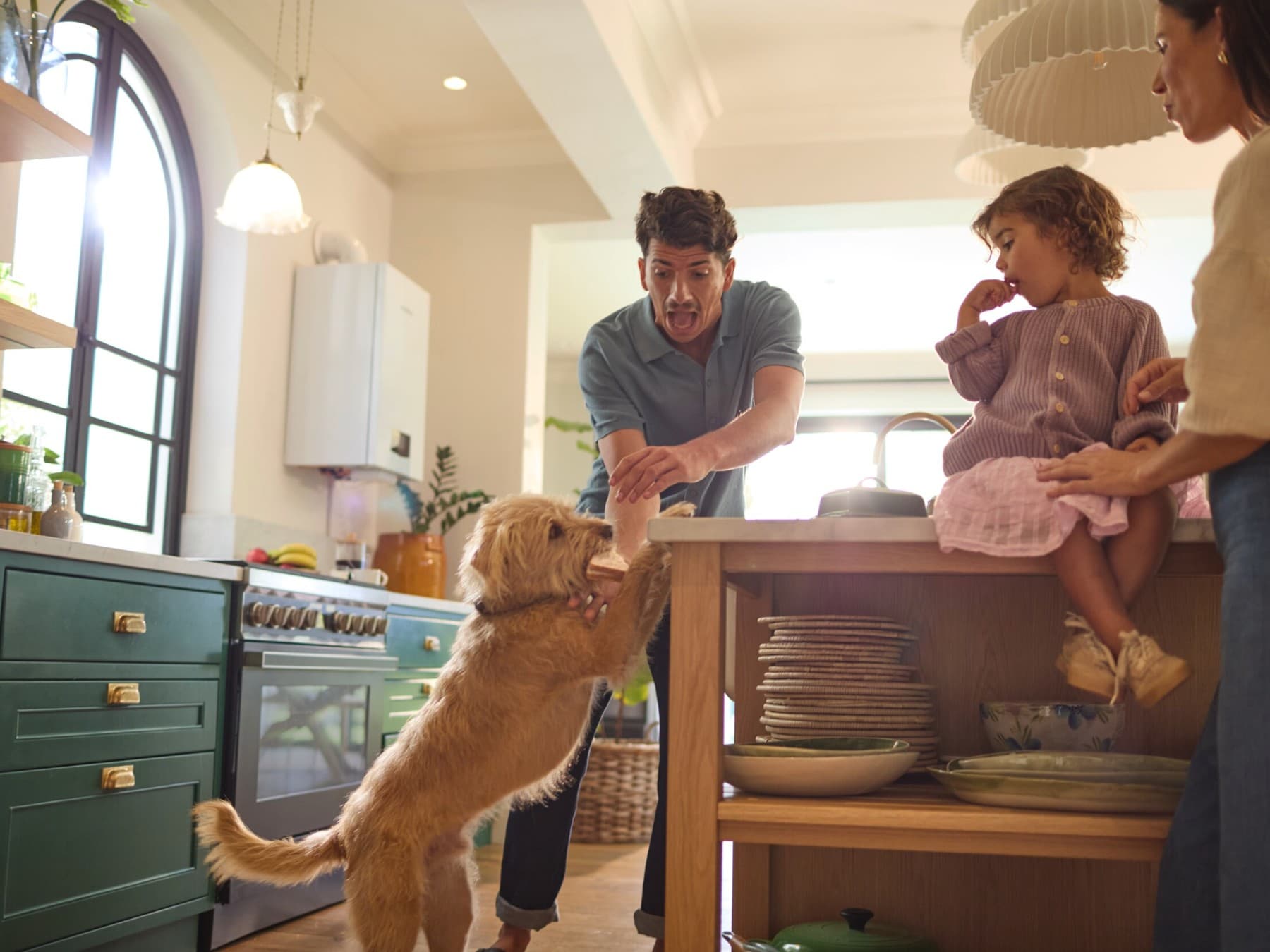 Une famille joue avec leur chien dans une cuisine avec au mur une chaudière | Vaillant